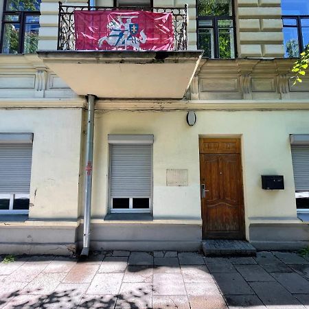 Vilnius Central Cozy Stay エクステリア 写真