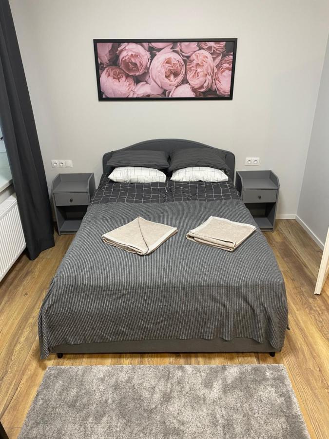 Vilnius Central Cozy Stay エクステリア 写真